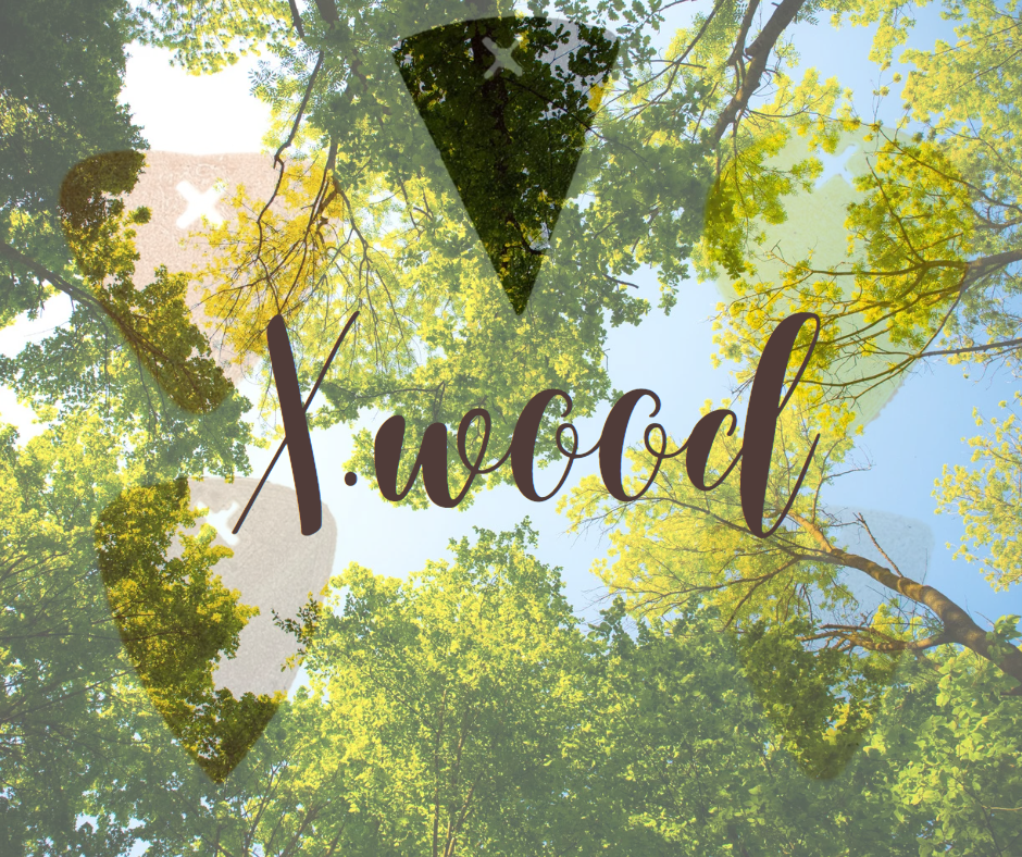 X.wood Plektren Collection